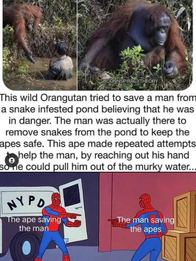 Hear me out, snakeman