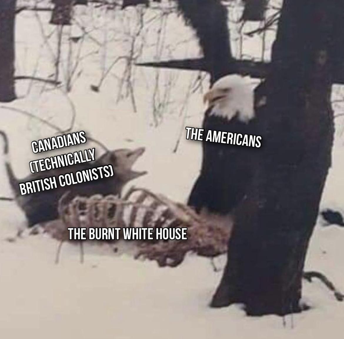 Take that, Yankee!