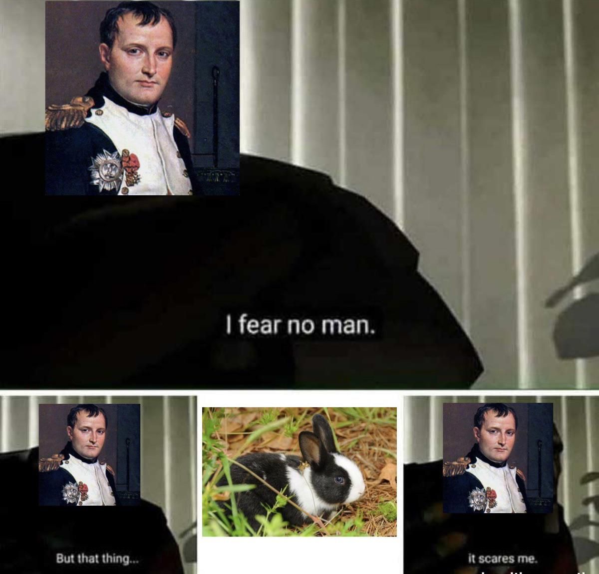 Appreciate the cute bunny picture I found for this meme