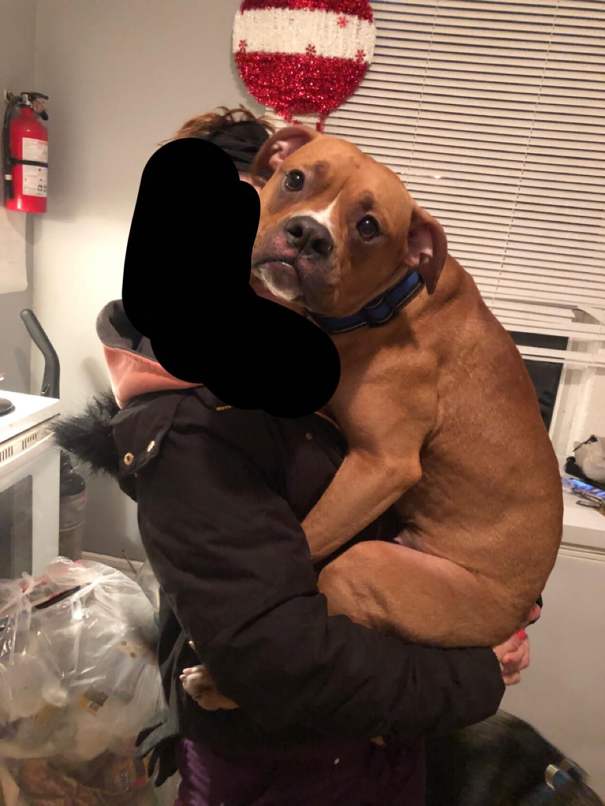 My 50 pound dog still likes to get carried like when she was a baby