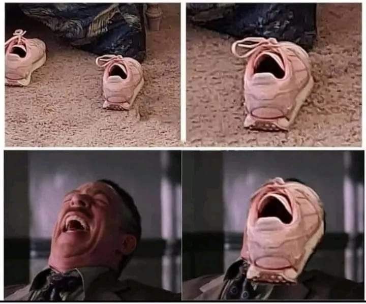 I couldn't stop laughing after seeing them