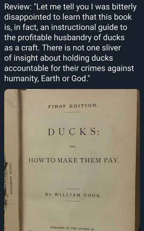 Not sure if this belongs here...