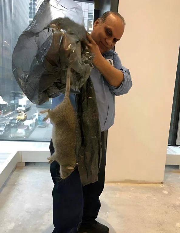 Splinter is finally detained after decades operating as an unlicensed martial arts instructor