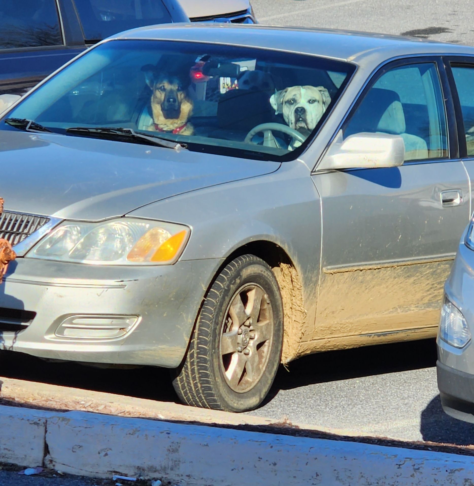These fellas look highly suspicious, also the car may be stolen... Not sure if I should report it or not ...