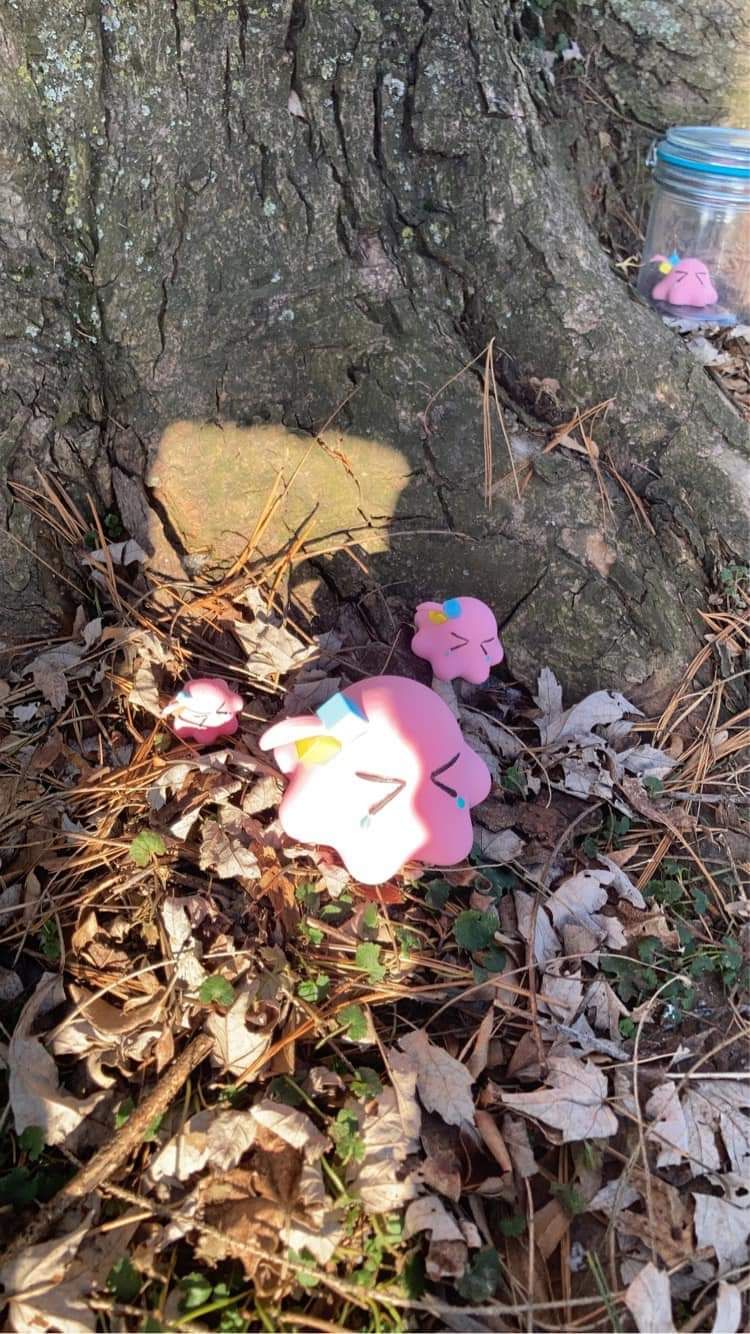 Nature is healing!