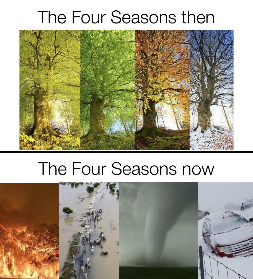 post-climate change world