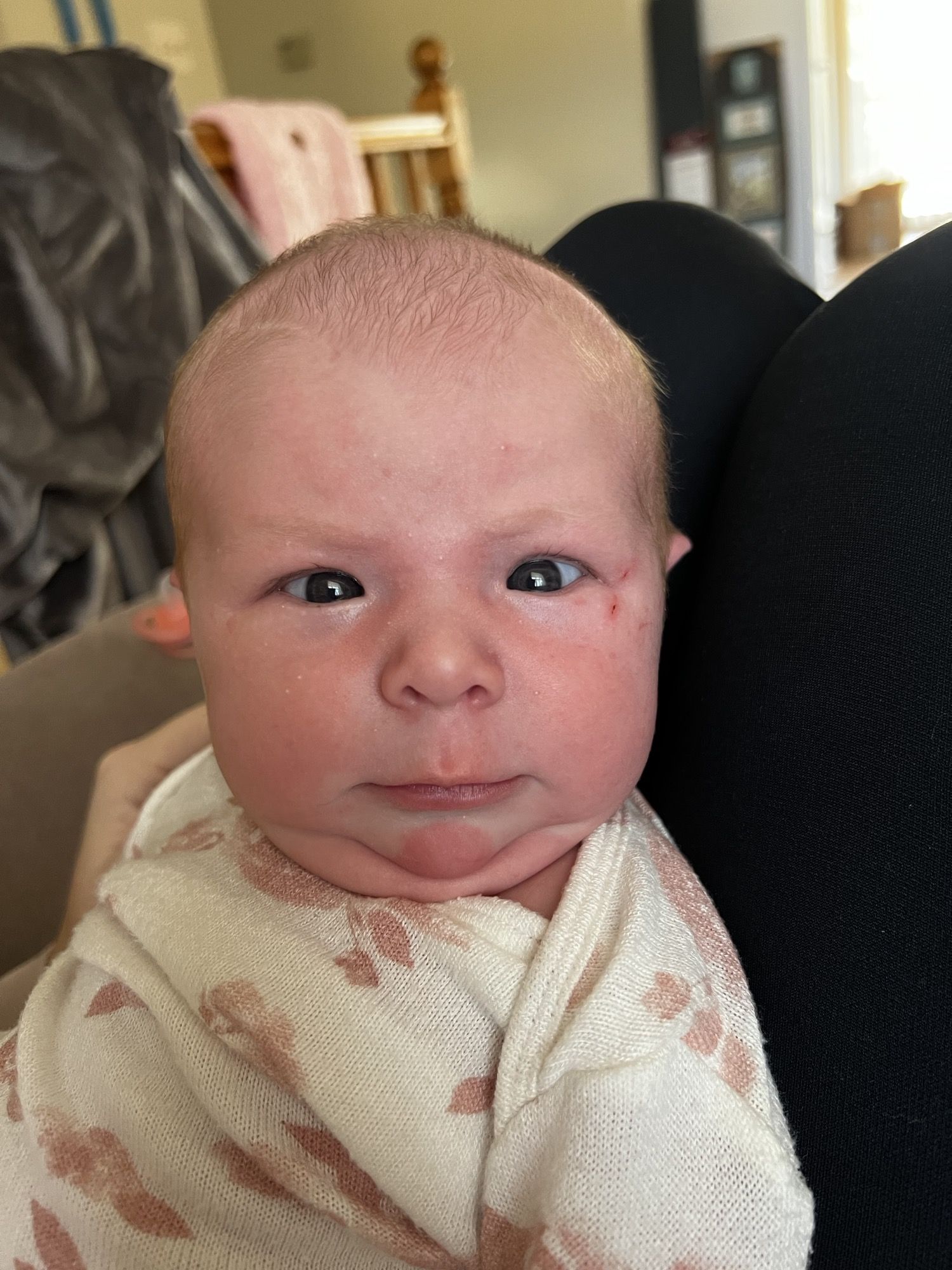 2 weeks old and my granddaughter is already judging me.
