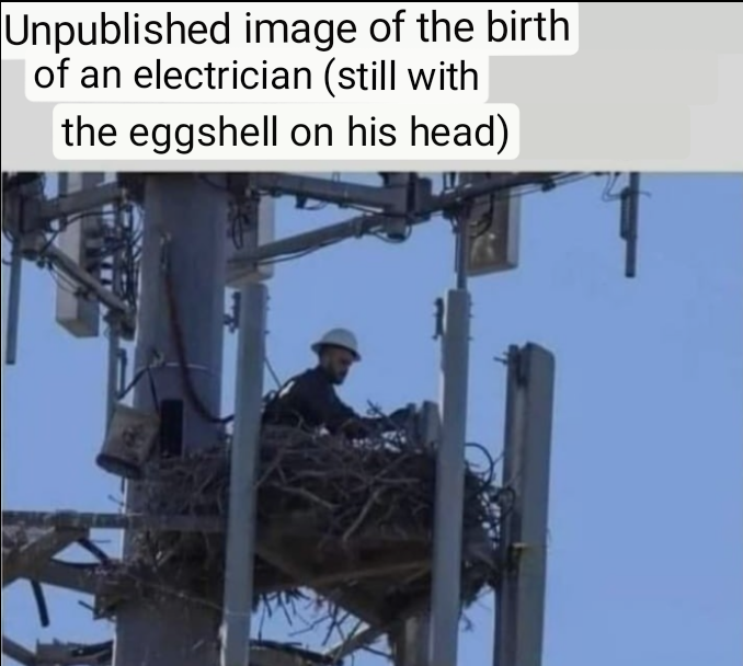 birth of an electrician
