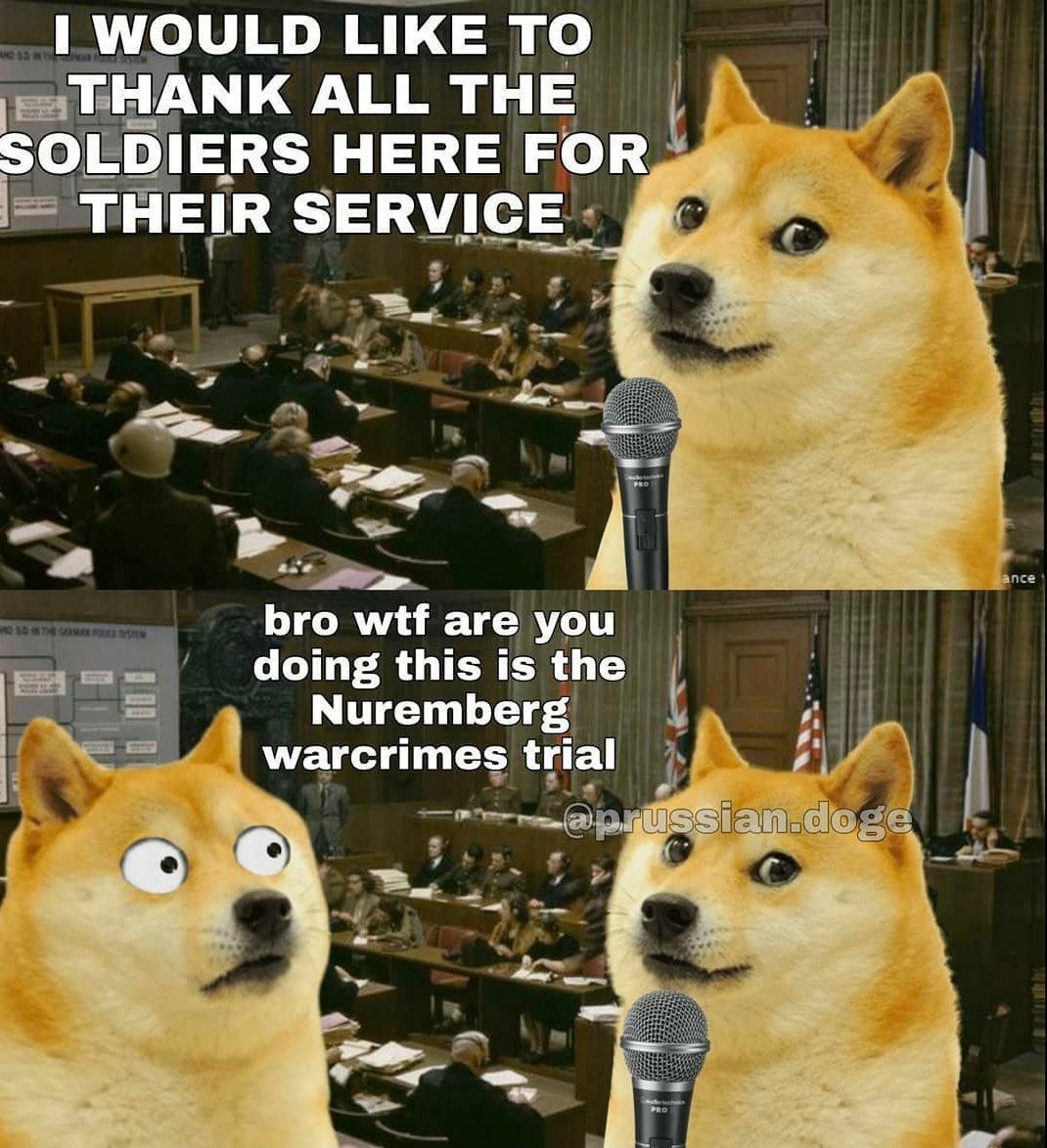 doge no!