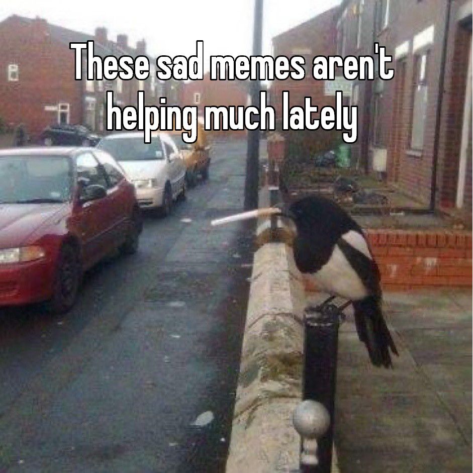 Meta