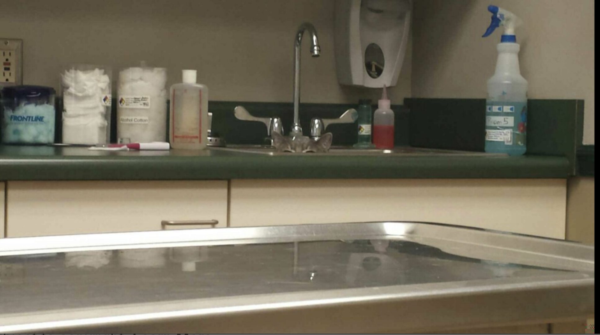 They used this picture at work today to see if we could locate all the OSHA safety violations...