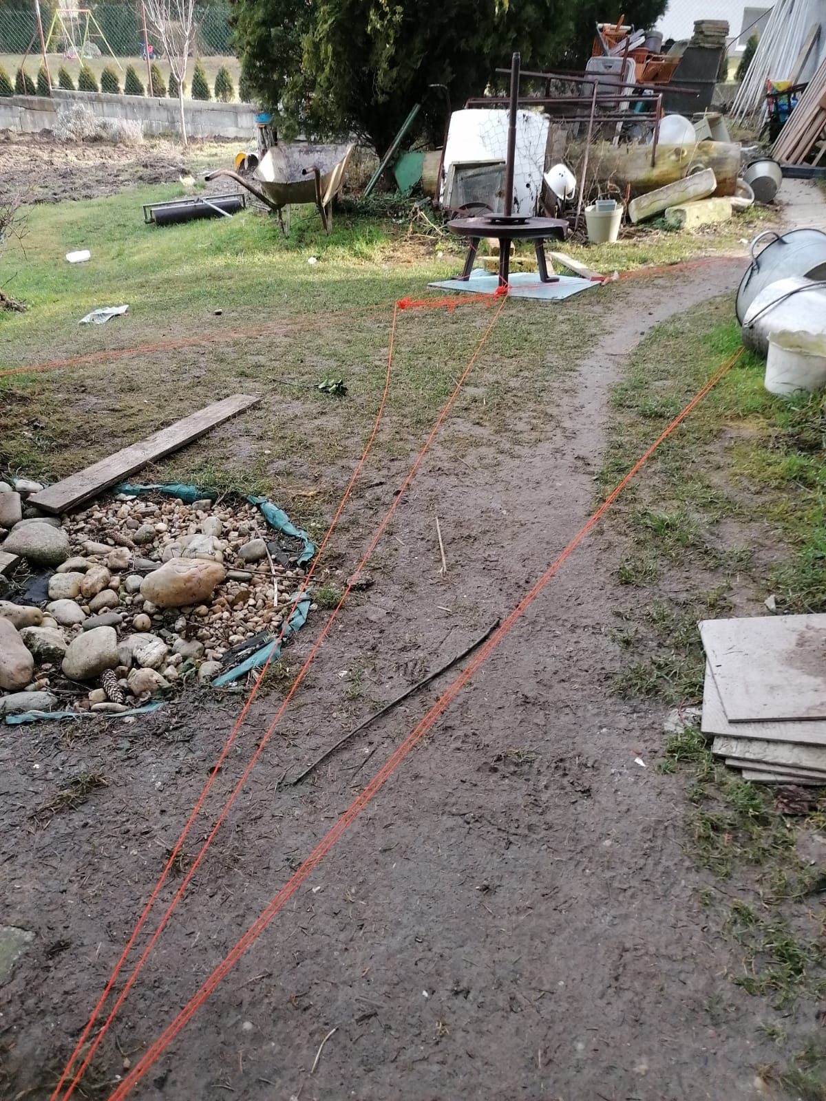 Dog found ball of red string and started running around house