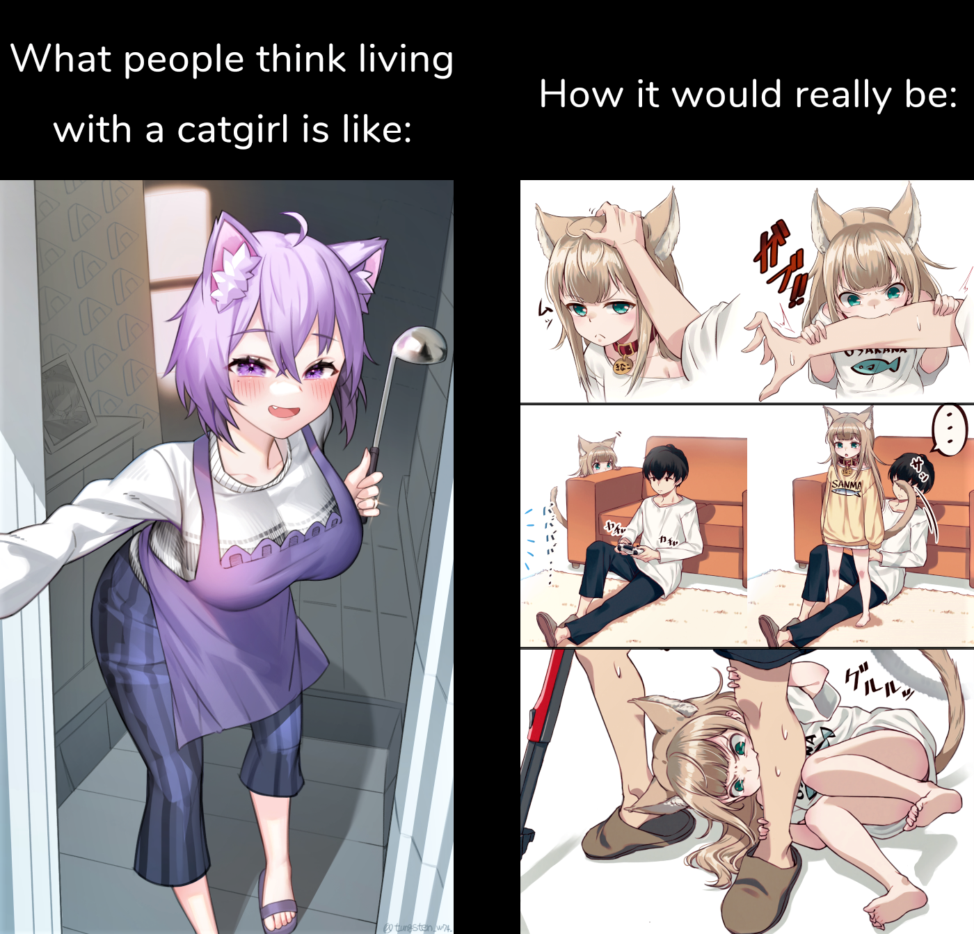 Cats do be violent