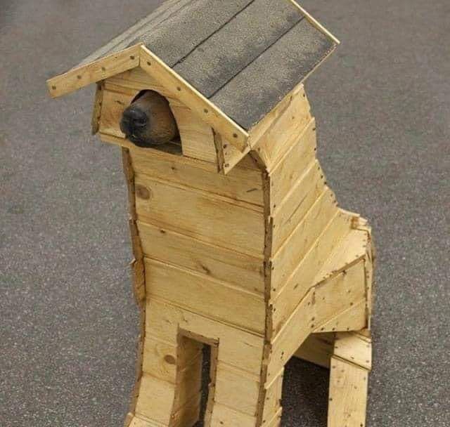 Earliest photo of Trojan Horse colorised