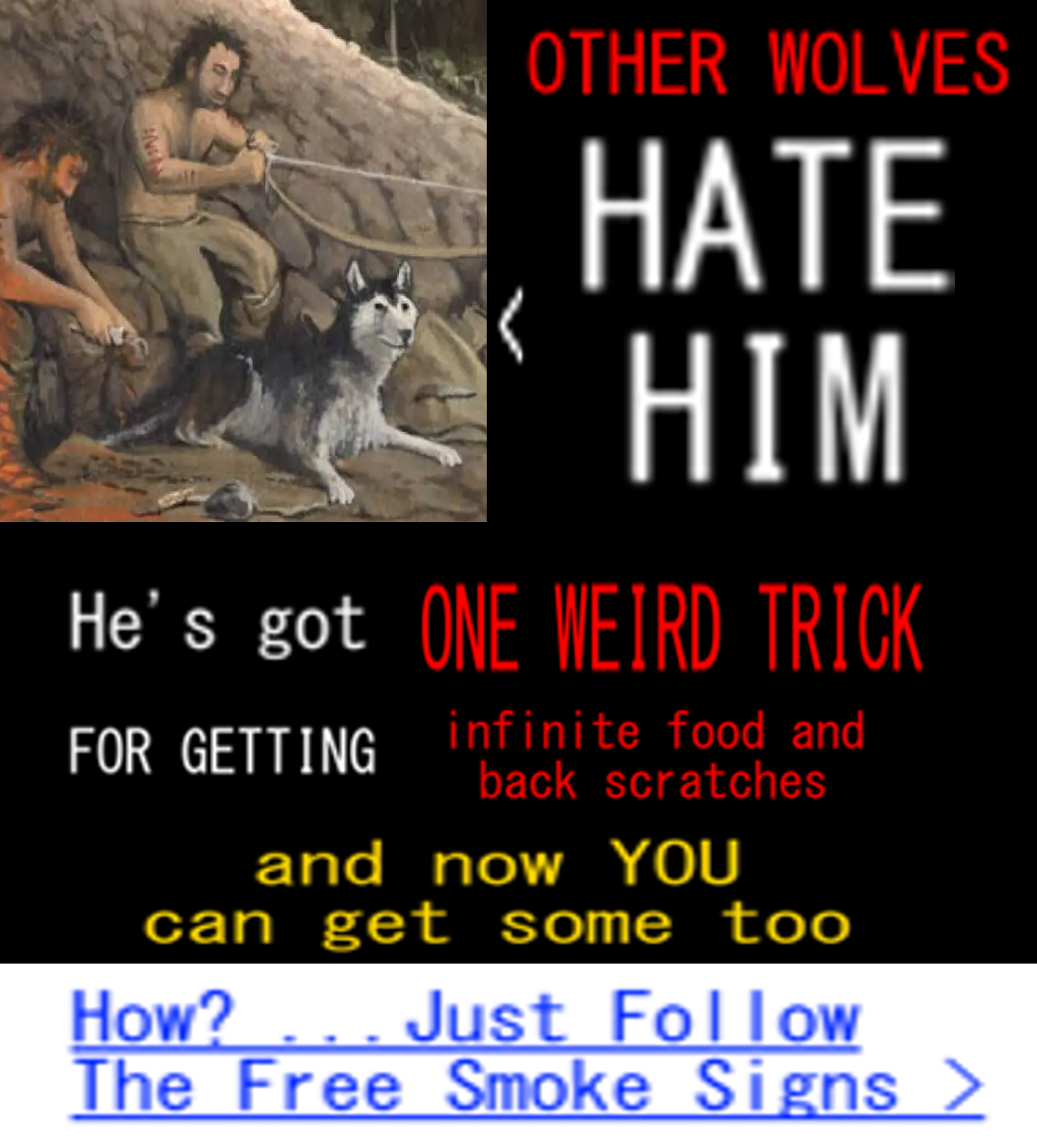 this WOLF gets FREE FOOD SCRAPS & SCRATCHES!! Find out how in 3 EASY STEPS>>>