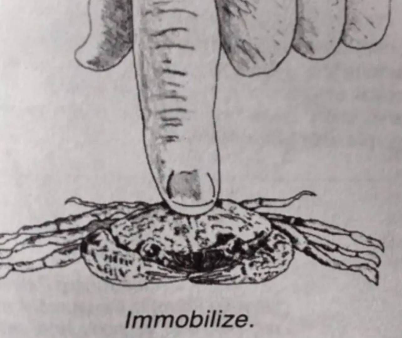 How to stop crab