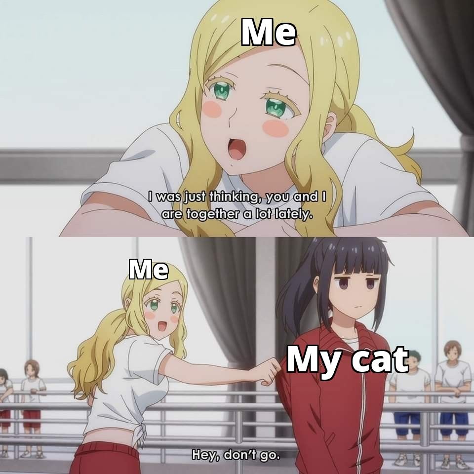 Stay a bit moar :(