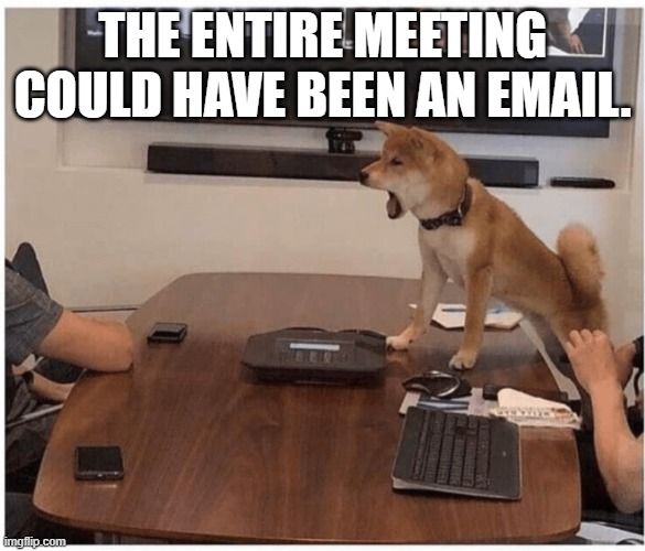 you are fired