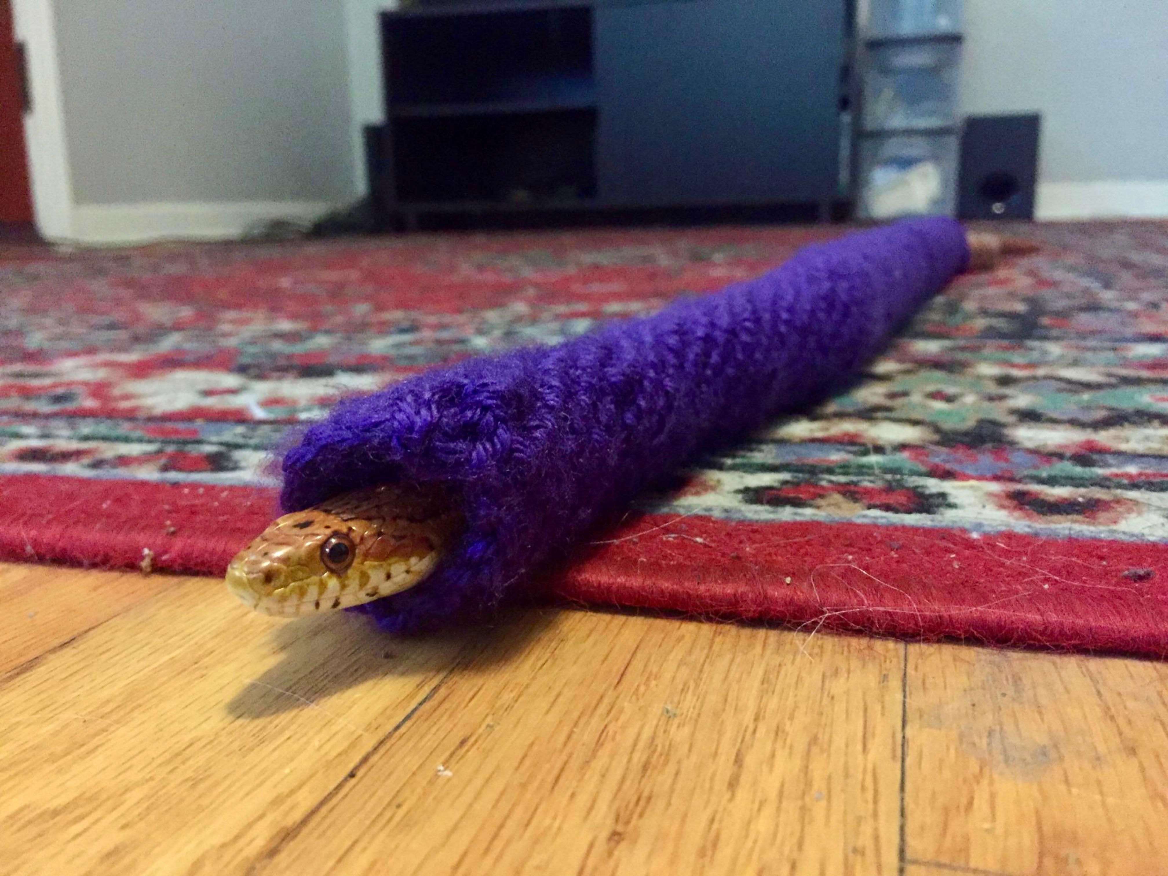 Knitted Snake Snuggie