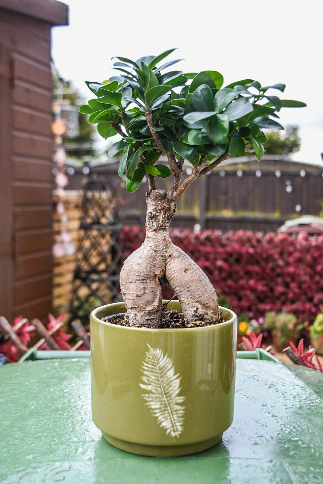 The ents are marching to war.
