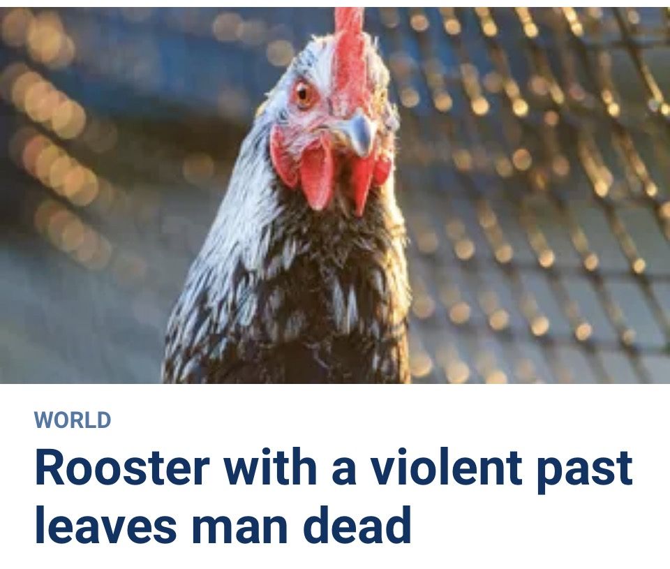 Must be a slow news day at Fox