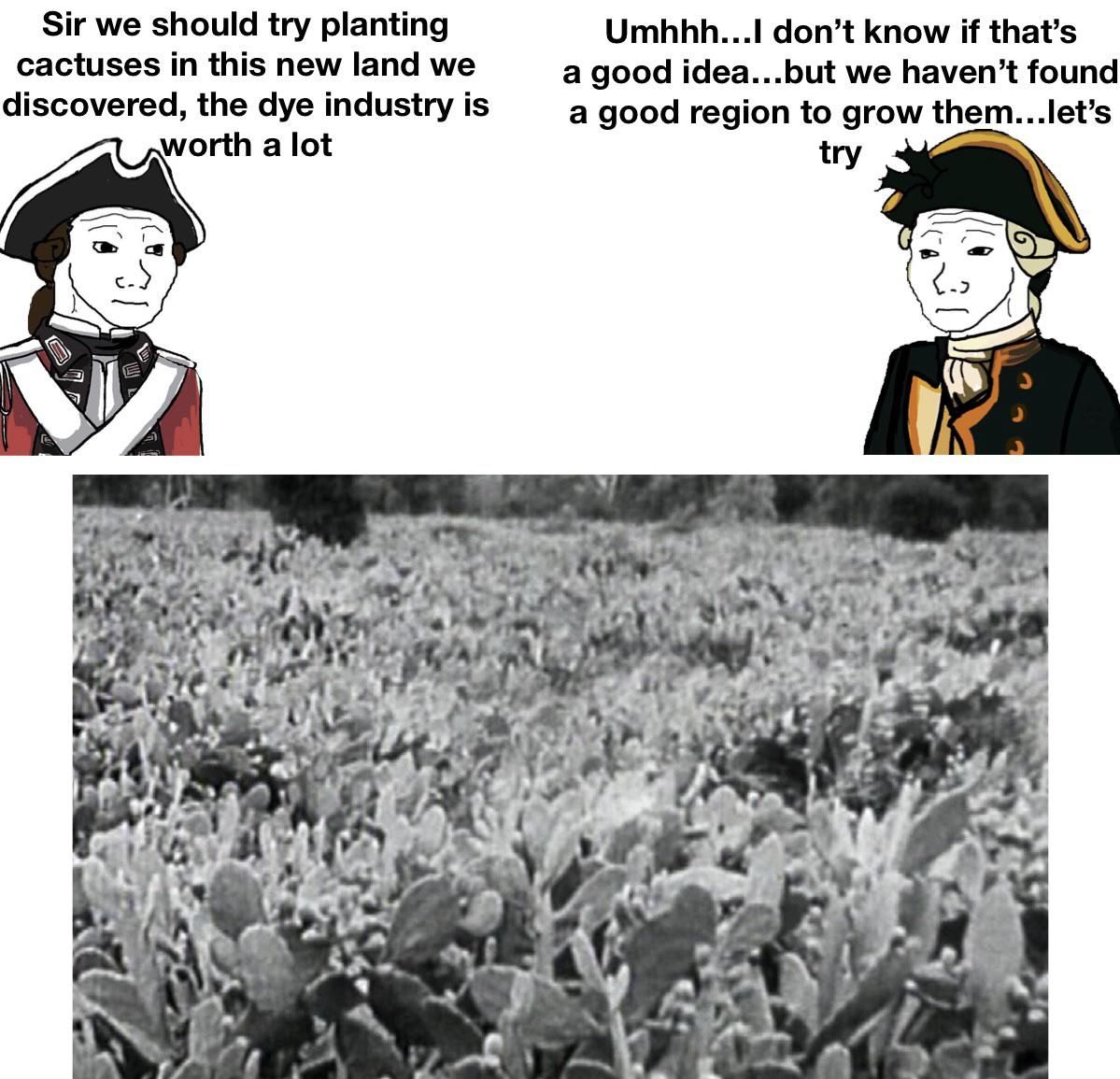 Sir…I think we have a problem…