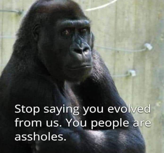 What they would say if they could talk.