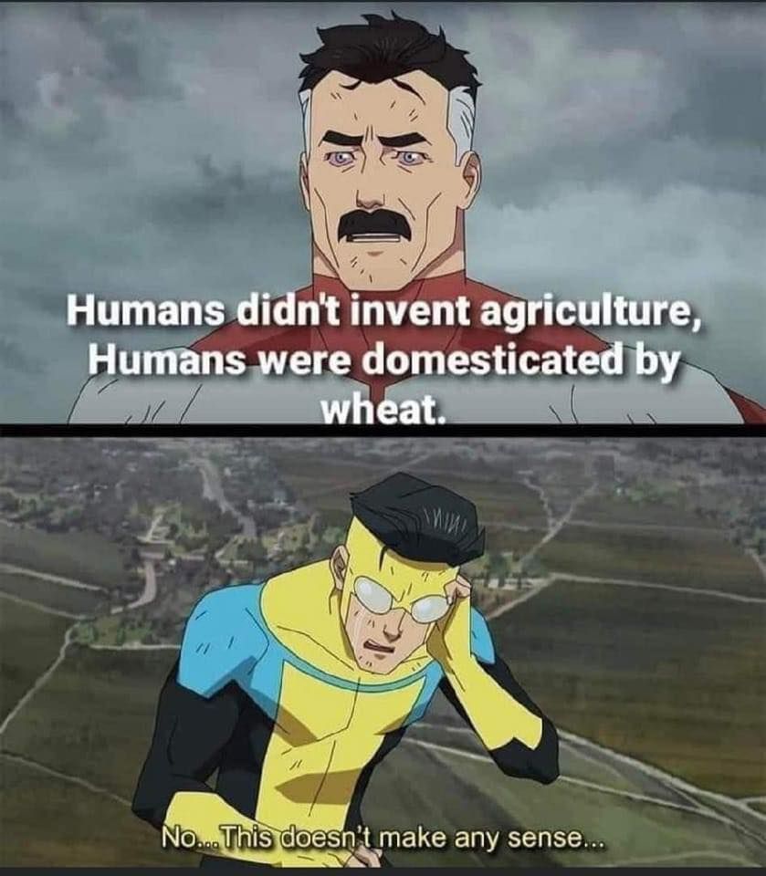 No, I don't believe you!