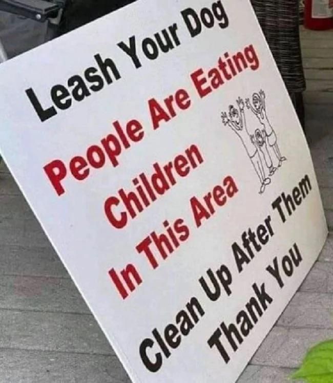 leash your dog