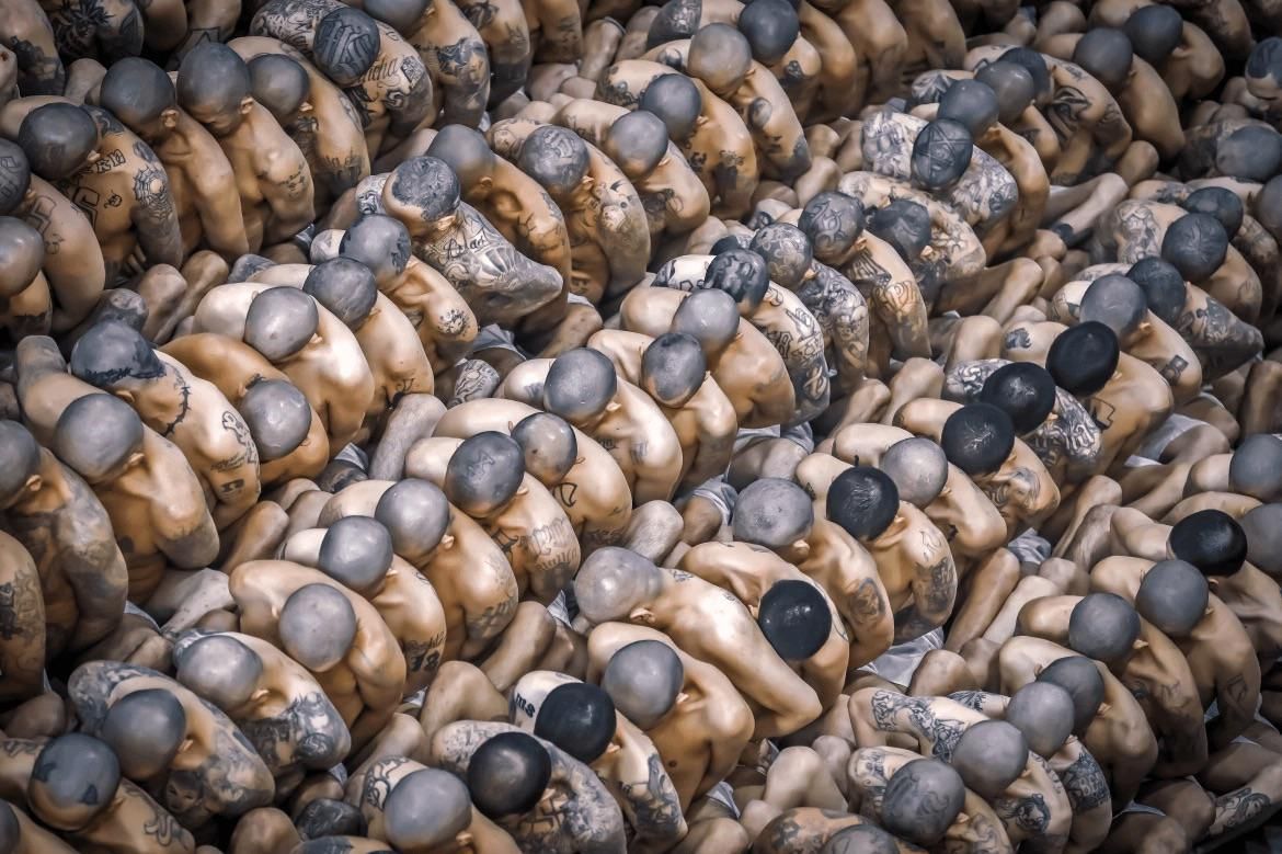 The first ever photographed closeup of snake scales on a color scanning electron microscope