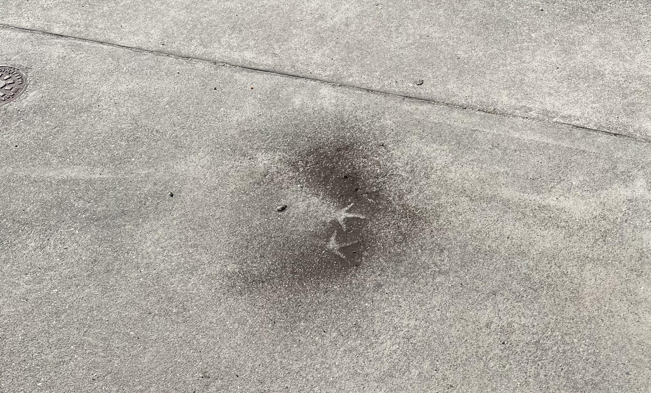 I think one of my chickens was involved in an explosion…