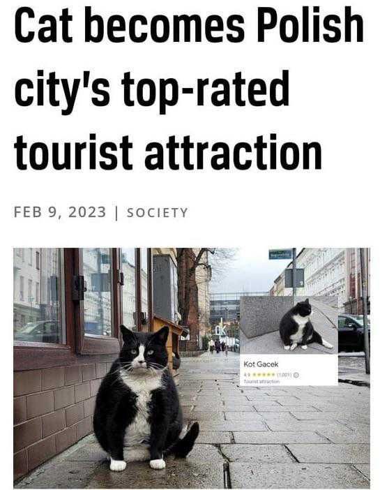 Most interesting thing in Poland