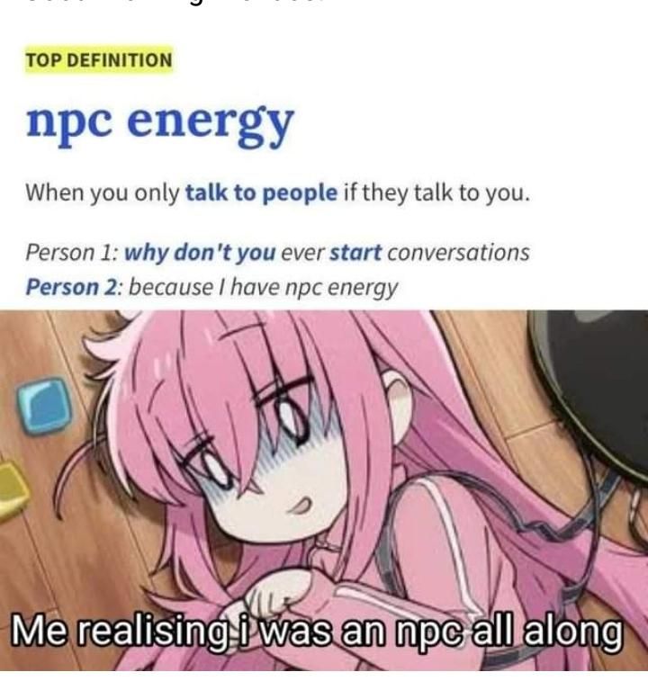 I am a NPC