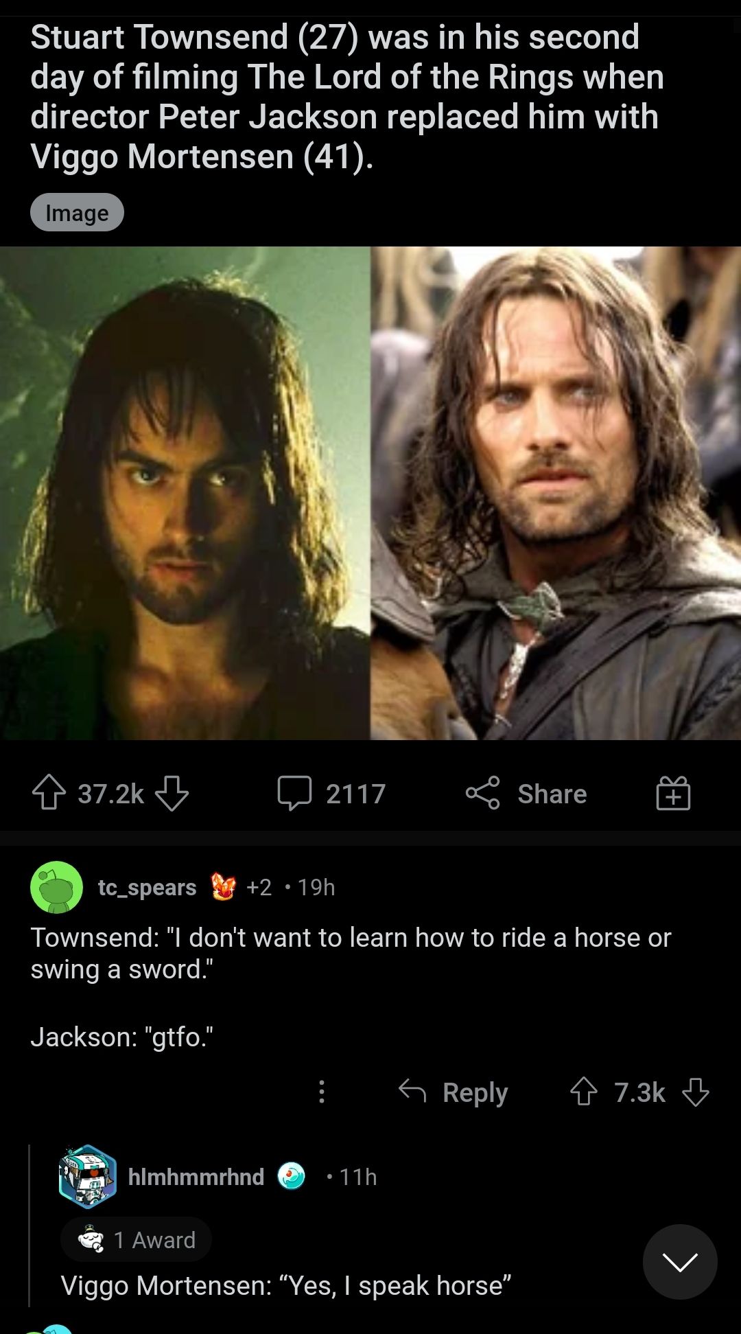 Laughs in horse