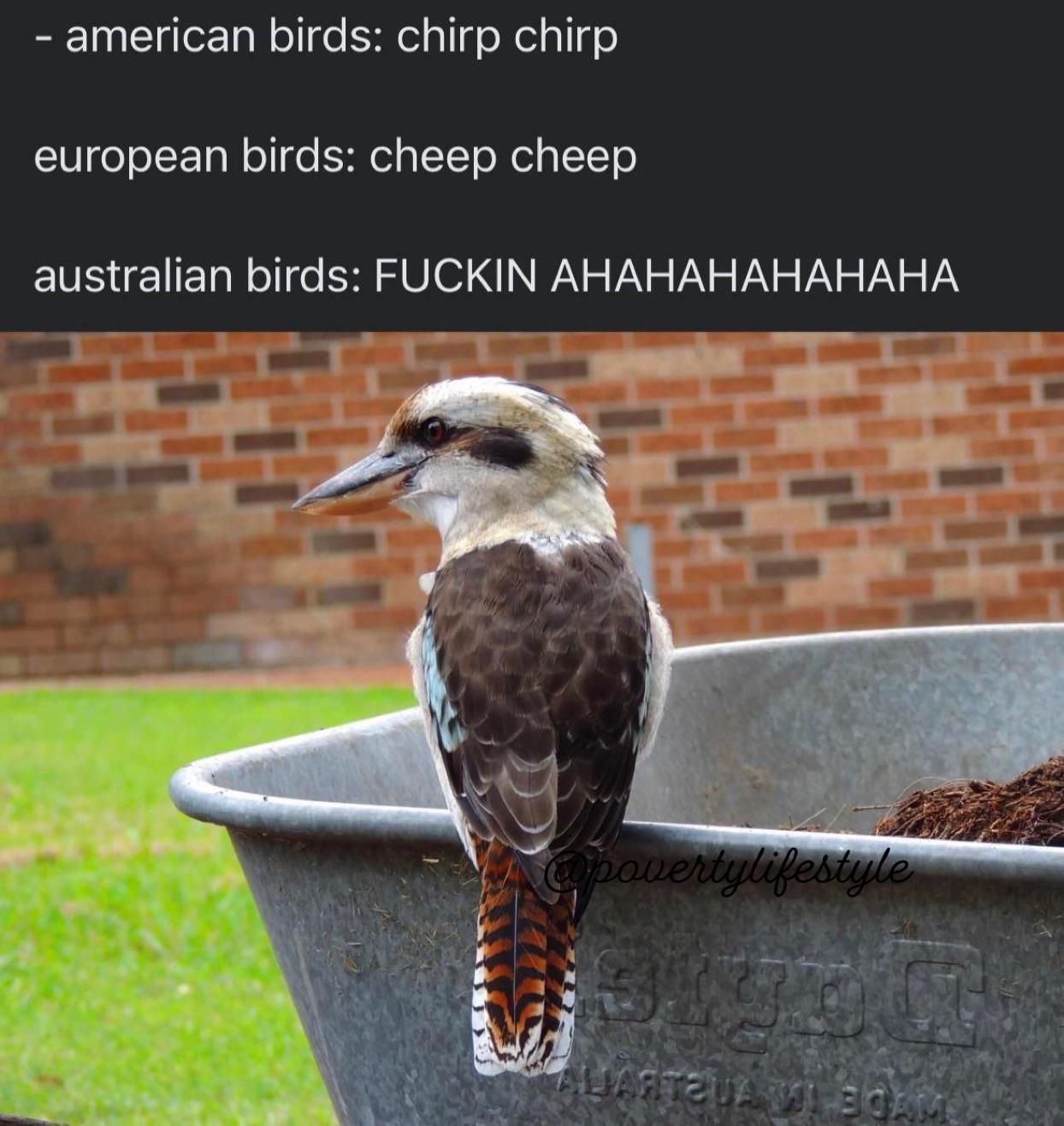 ***en haha