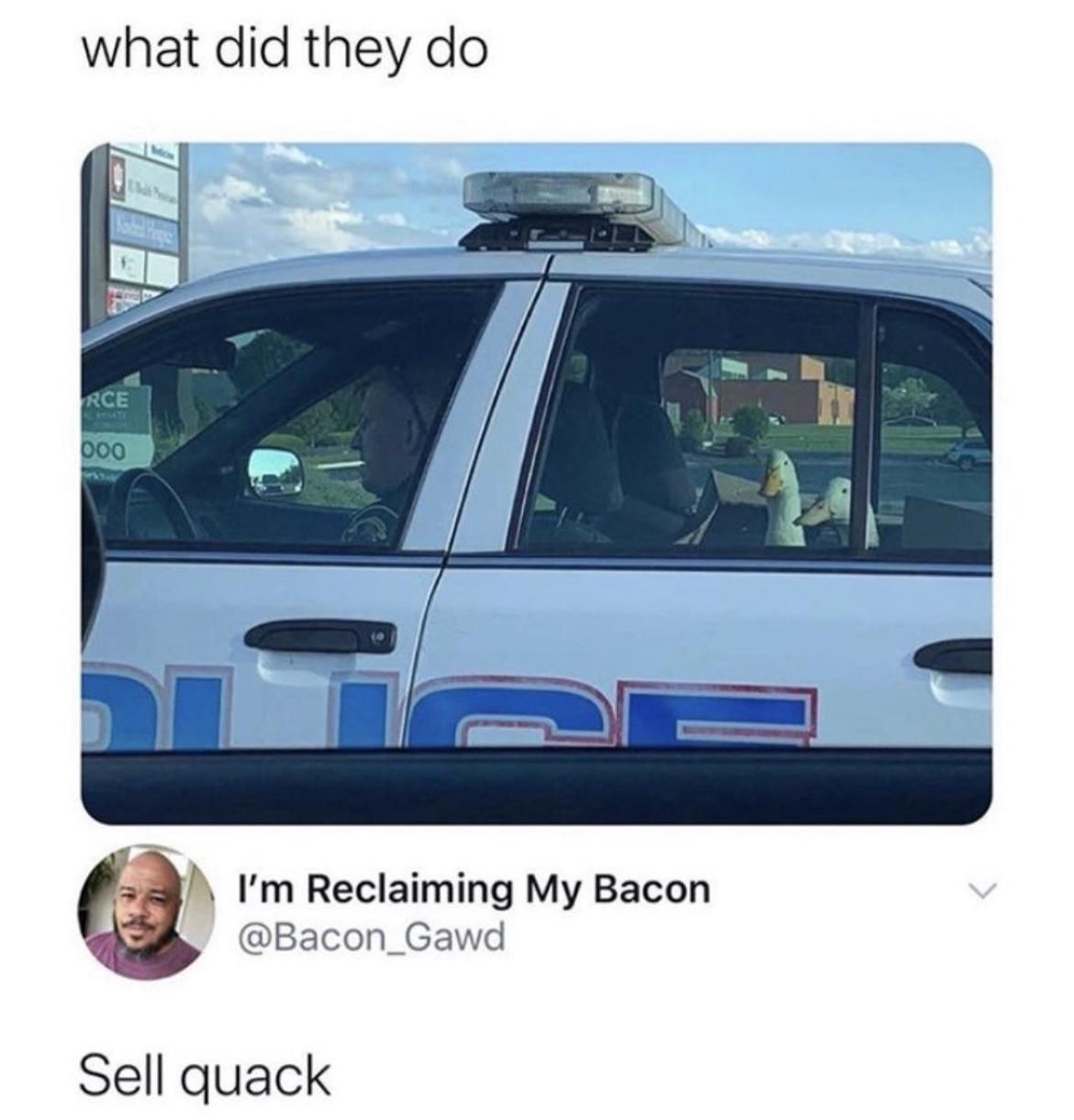 What did they do?
