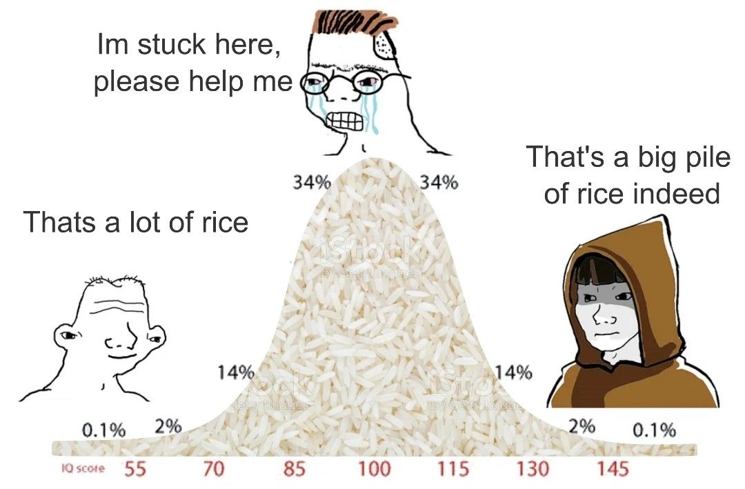 Dude asked for a Chessboard and is mad about his rice mountain