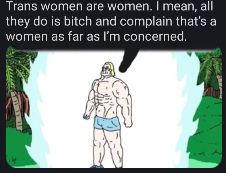 transwomen are women?