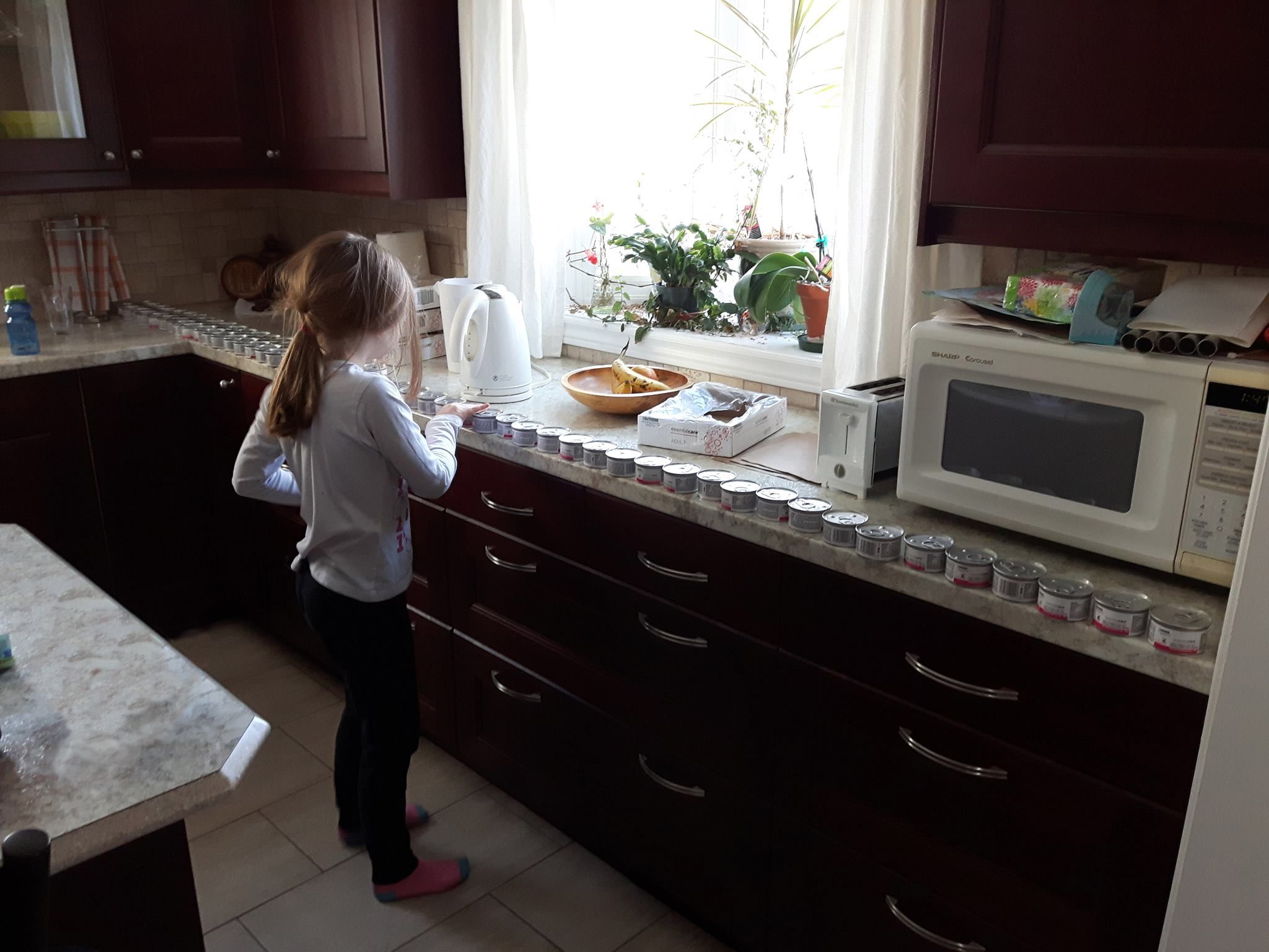 So we asked our daughter to take the cat food out of the boxes and stack the cans on the counter...