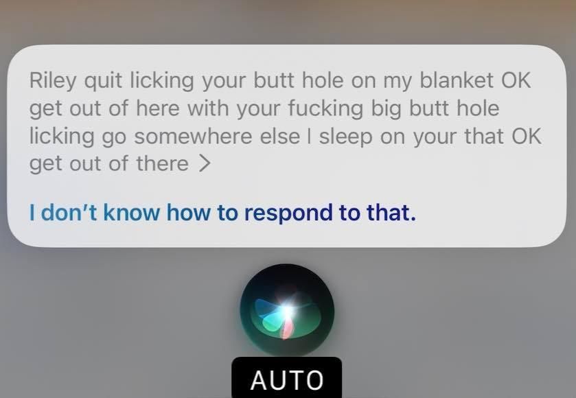 My sister accidentally activated Siri while talking to her dog.