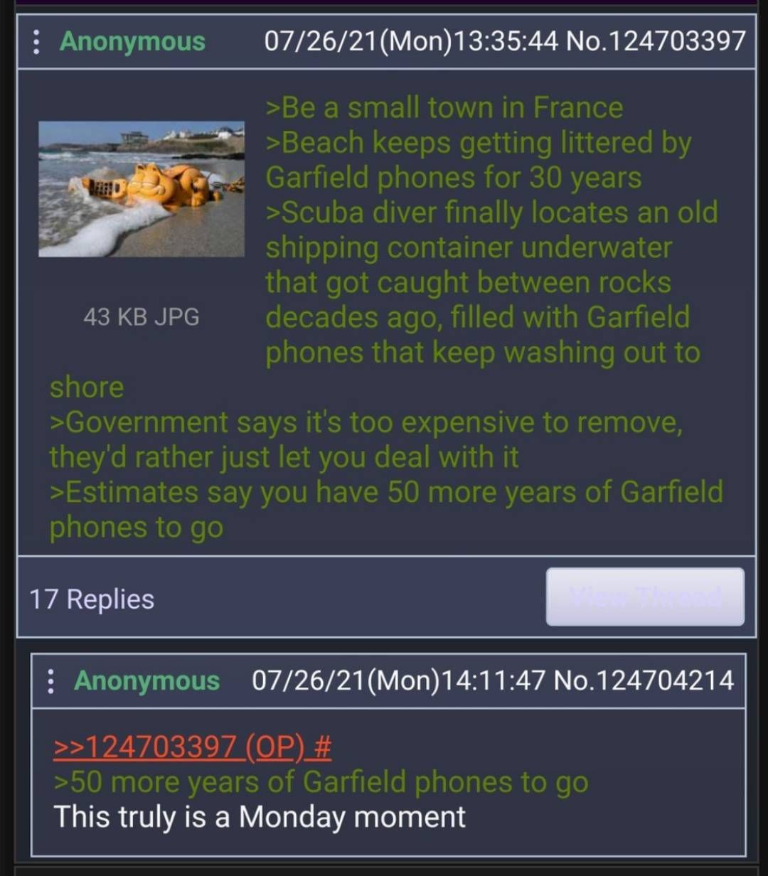 Average Foreign Feline French Beach Landing
