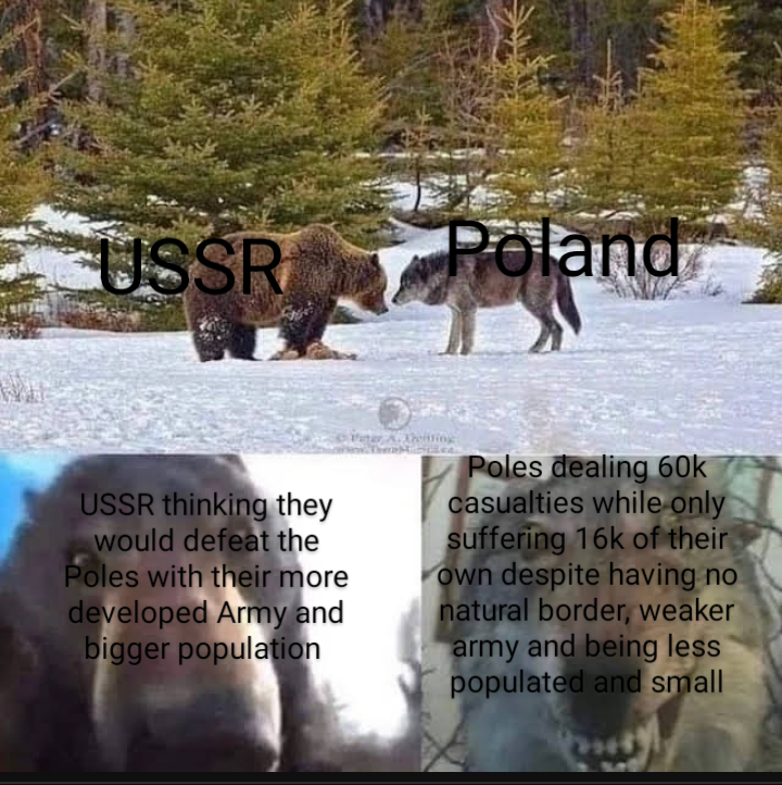 I had actually posted this before but it was removed due to rule 12