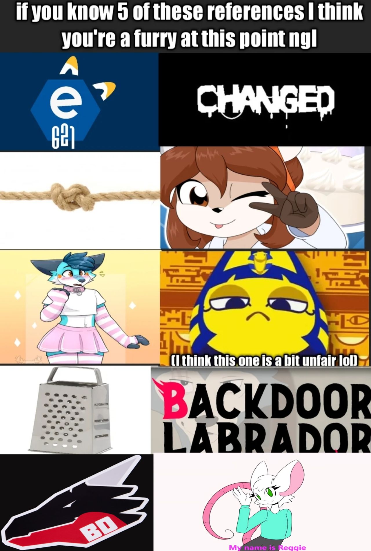 Lemme give yall the furry test real quick..
