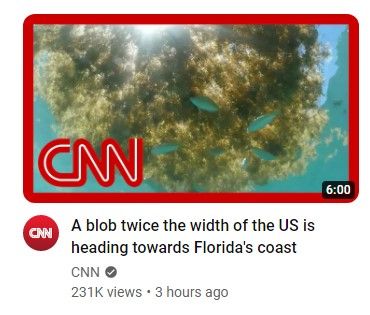 Ok, this is my favourite CNN headline ever.