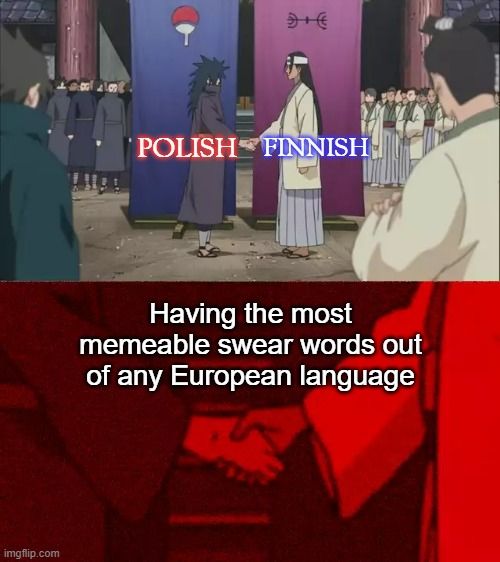 Seriously, what kind of foreign language can have profanity obscene enough to one-up these two made popular by Polandball?