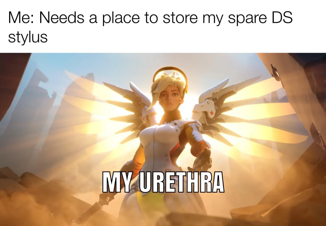 It's a perfect fit