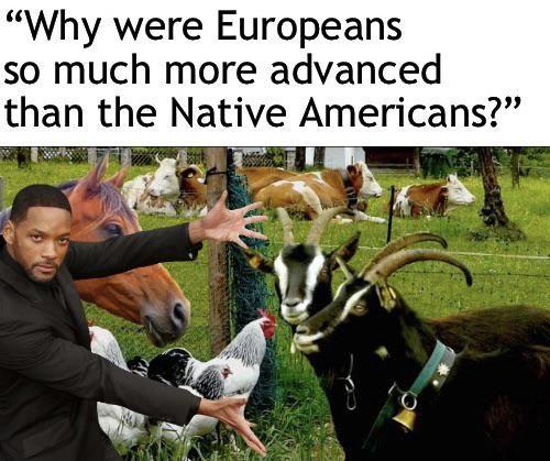 I present you, Horse