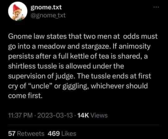 Gnomes, man. Just... Gnomes