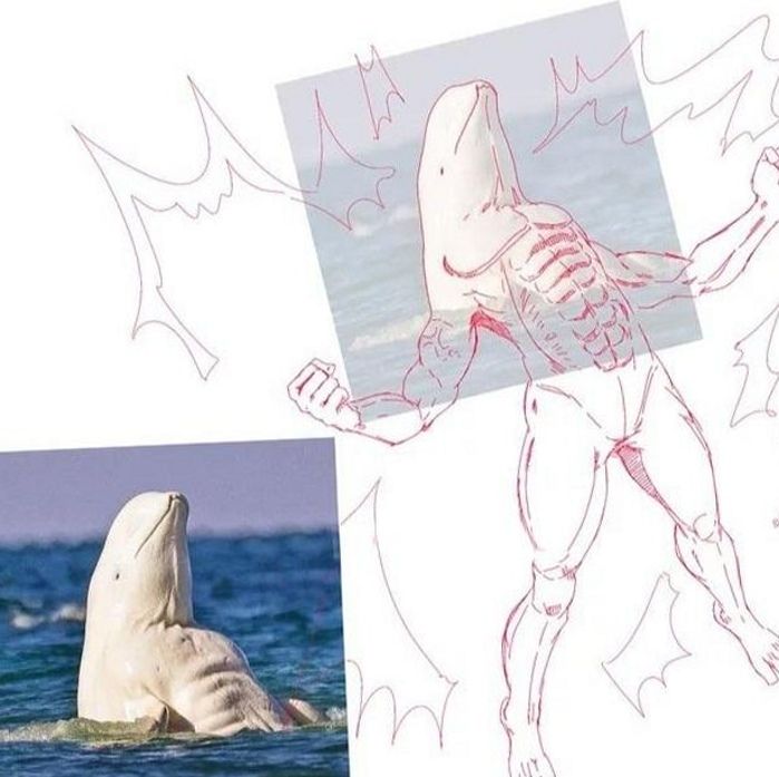 Jotaro hit a dolphin with the arrow