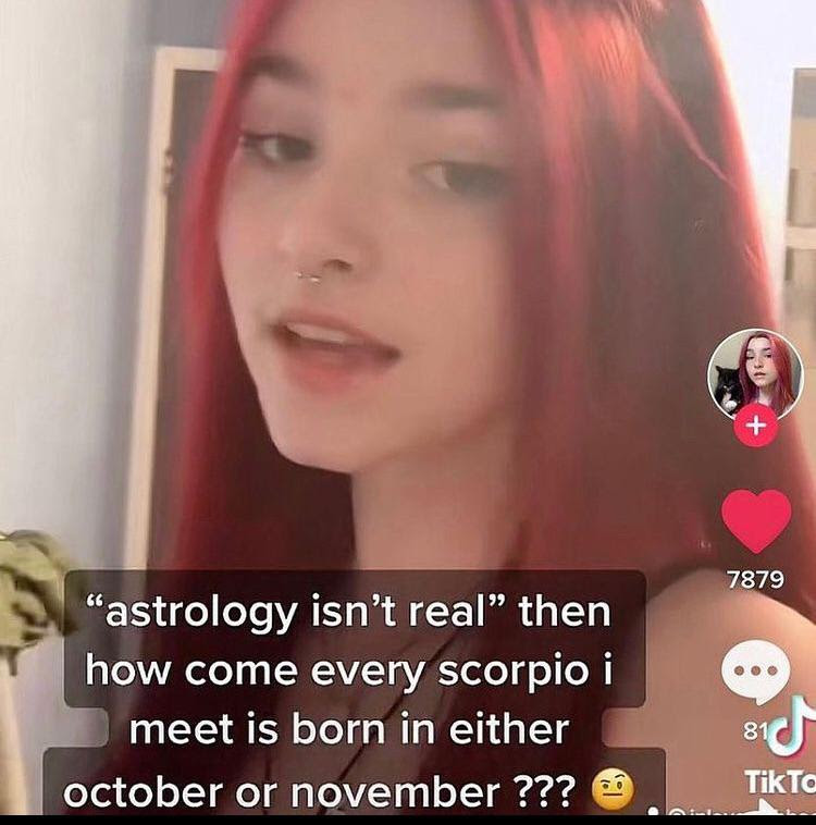 checkmate idiots